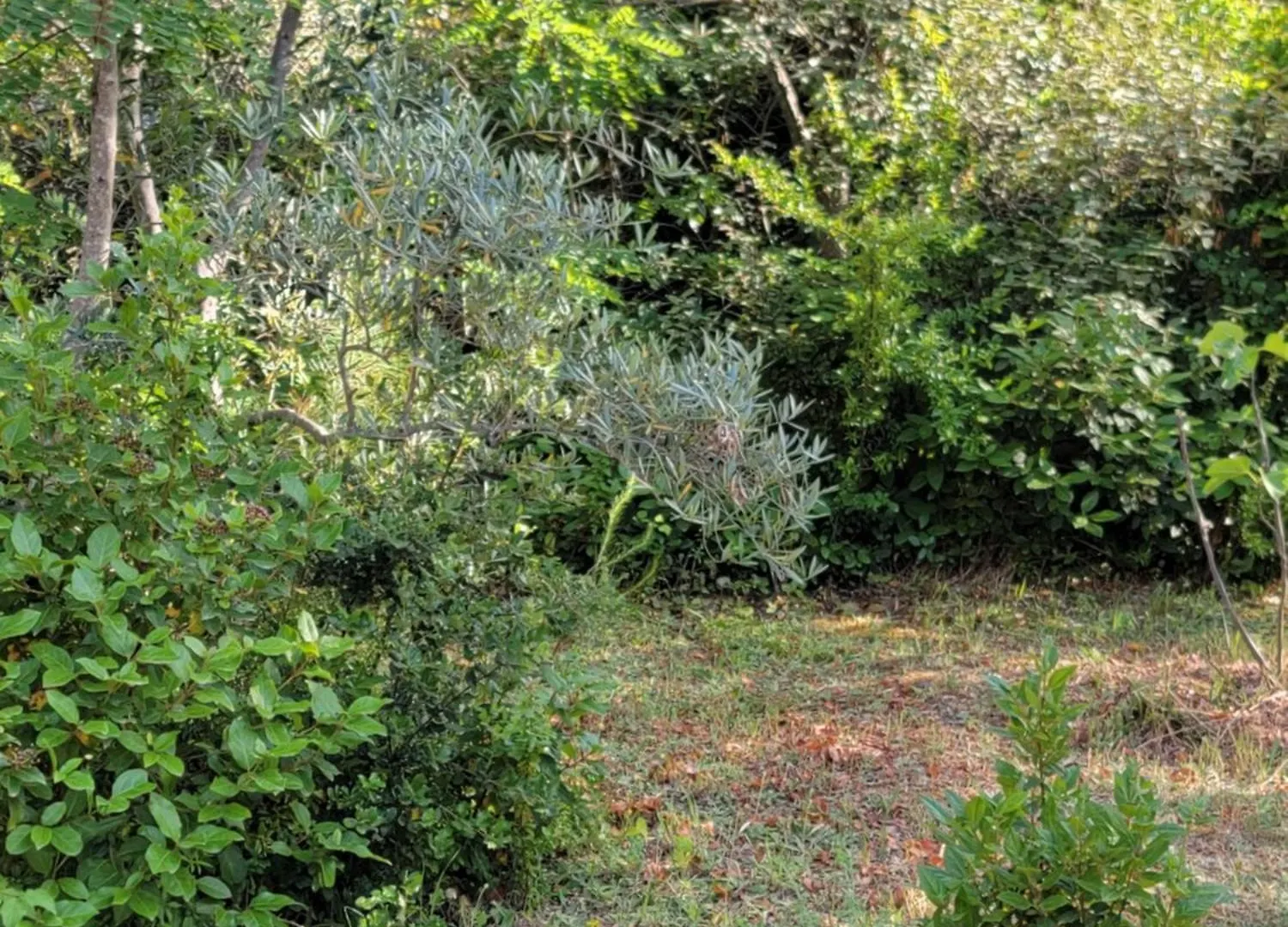 Maison T4, Campagne Provencale Calme, Tout Confort Lambesc