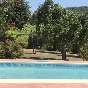 Calanca Blu : Grand Appartement